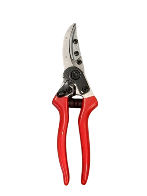 18.05.00 forbice Rosy pruner cm 21